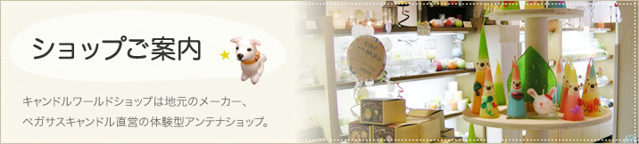 ショップご案内 スタッフブログ