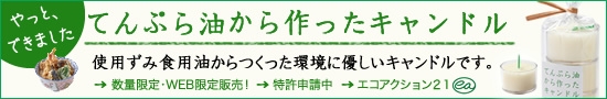 てんからキャン