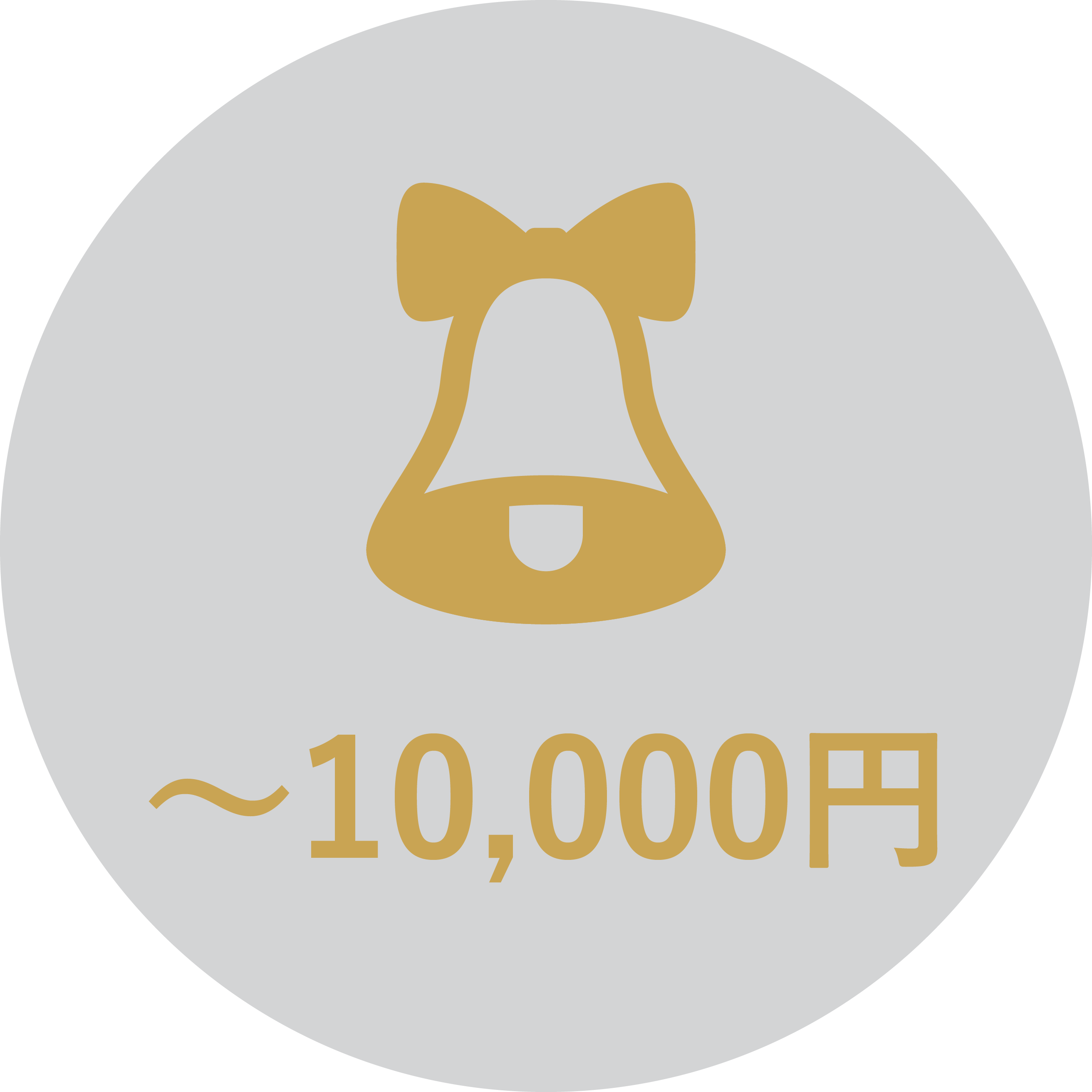 予算10000円を見る