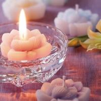 【イベント出展】9/20 岡山・倉敷「誓願寺門前朝市」