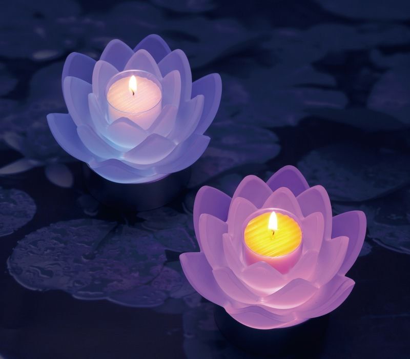 LOTUS GRACE：2ヶセット