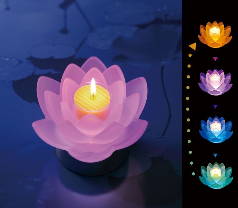 LOTUS GRACE：2ヶセット