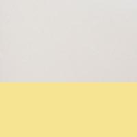 シラカバの香り