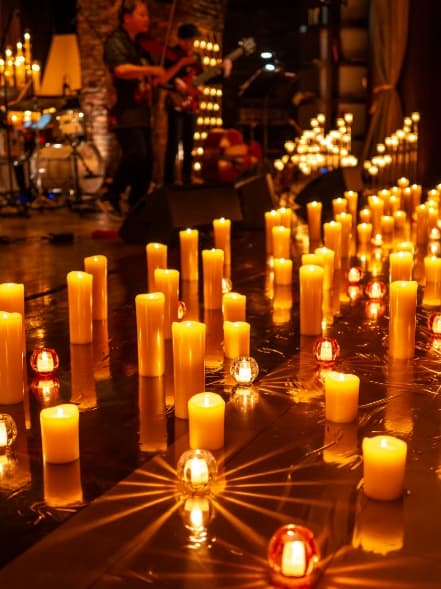 楽器を弾く人の正面写真