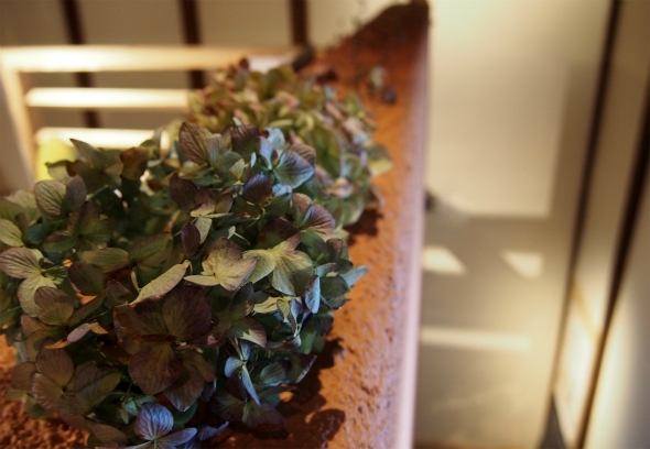 9/21（月）カフェのお知らせ