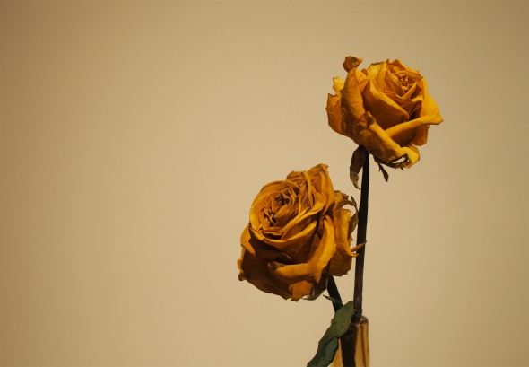 10/2（金）カフェのお知らせ